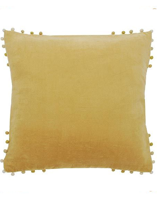 Velvet Cushion