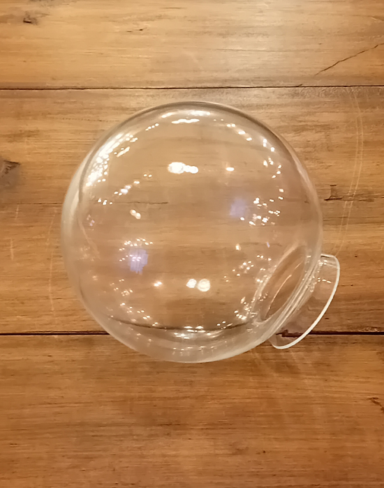 Clear Globe Shade